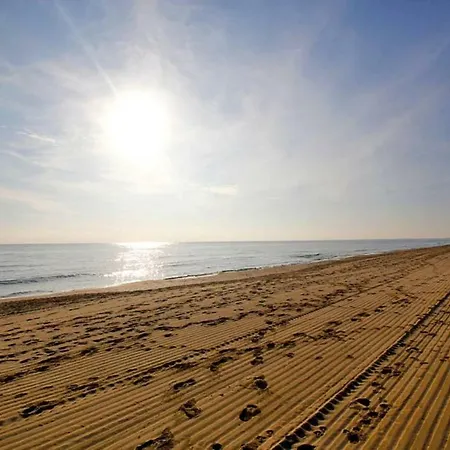 Sea Coast *